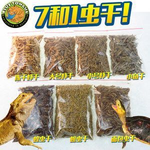 金龍魚用什么釣餌最好（金龍魚的餌料選擇）