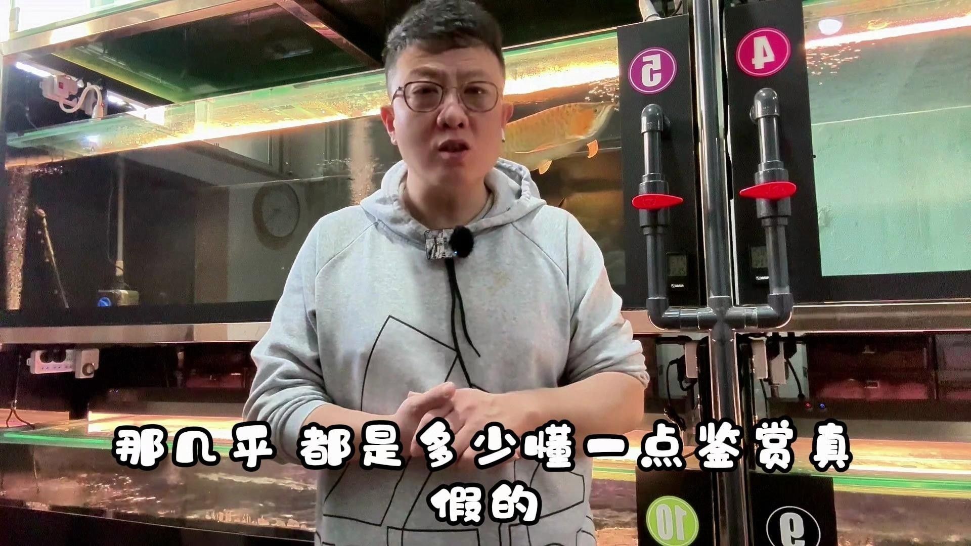 如何判斷紅龍純血是否新鮮？ 如何判斷紅龍純血是否新鮮？ 龍魚百科 第11張