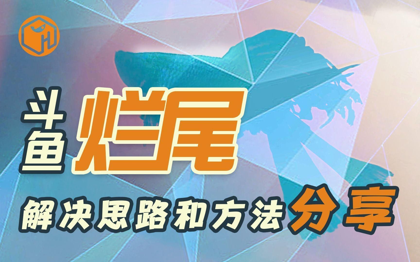 如何判斷魚是否得了爛尾病？