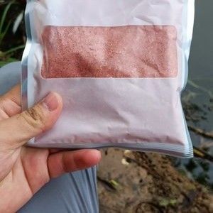 釣龍魚的餌料選擇應根據實際情況和個人喜好來決定：釣龍魚的餌料選擇應根據實踐中找到最適合的釣魚策略