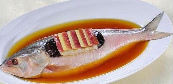 紅龍魚回收價格多少錢一斤 紅龍魚回收價格多少錢一斤 龍魚百科 第17張