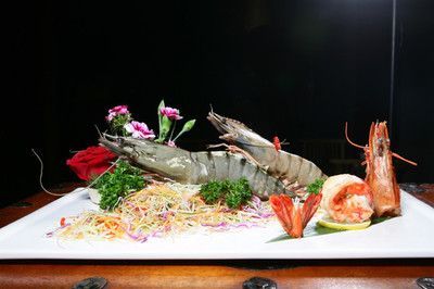 龍魚吃自助餐好不好呢，龍魚吃自助餐好不好