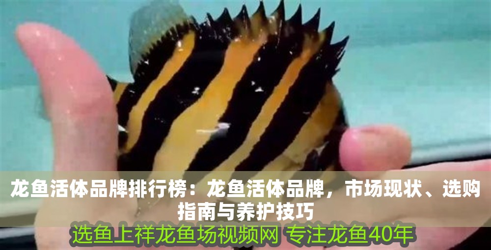 龍魚活體品牌排行榜：龍魚活體品牌，市場(chǎng)現(xiàn)狀、選購(gòu)指南與養(yǎng)護(hù)技巧