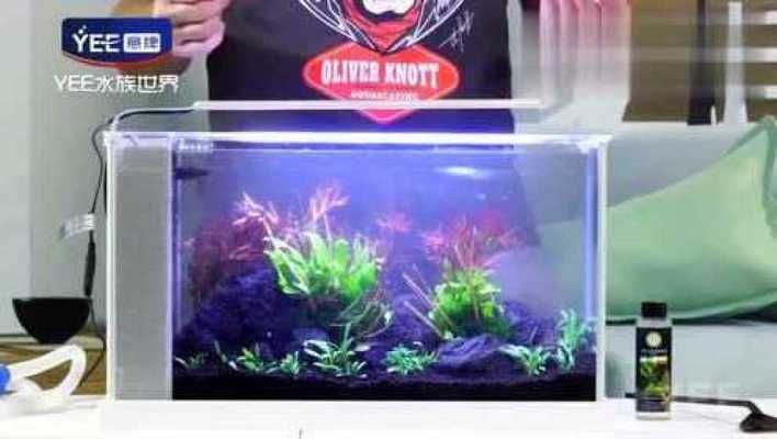 紅金龍魚的價格是多少（如何鑒別紅金龍魚市場趨勢）