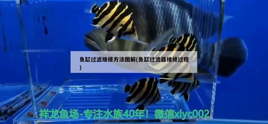 魚缸過濾泵怎么拆卸清洗圖解，如何自制魚缸過濾器