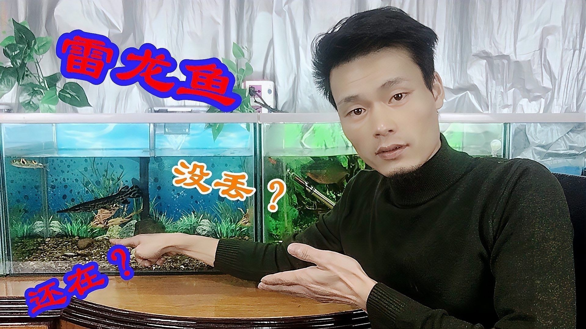 龍魚和雷龍魚哪個(gè)好養(yǎng)一點(diǎn)呢