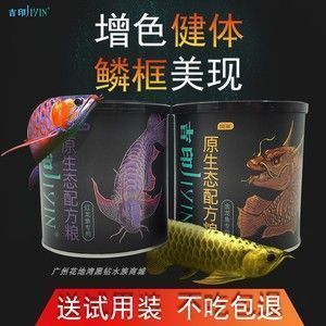 紅龍魚幾天不吃怎么辦（紅龍魚幾天不吃食可能是由多種因素引起的，紅龍魚環境突變應對策略）
