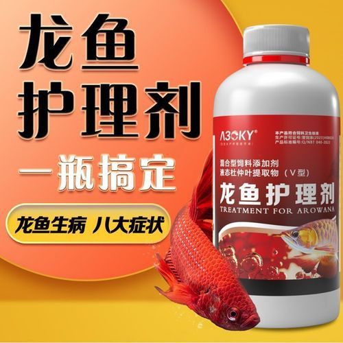 紅龍魚死亡后多久補養新魚合適？