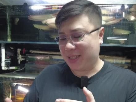 什么樣的銀龍魚品質好