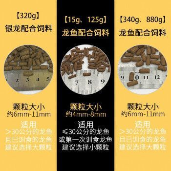 金龍魚銀龍魚吃什么飼料，如何自制金龍魚銀龍魚飼料