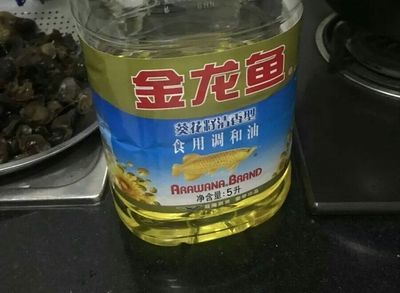 金龍魚十幾天沒有進(jìn)食：金龍魚十幾天沒有進(jìn)食可能有多種原因及其相應(yīng)的解決方案 金龍魚十幾天沒有進(jìn)食：金龍魚十幾天沒有進(jìn)食可能有多種原因及其相應(yīng)的解決方案 龍魚百科