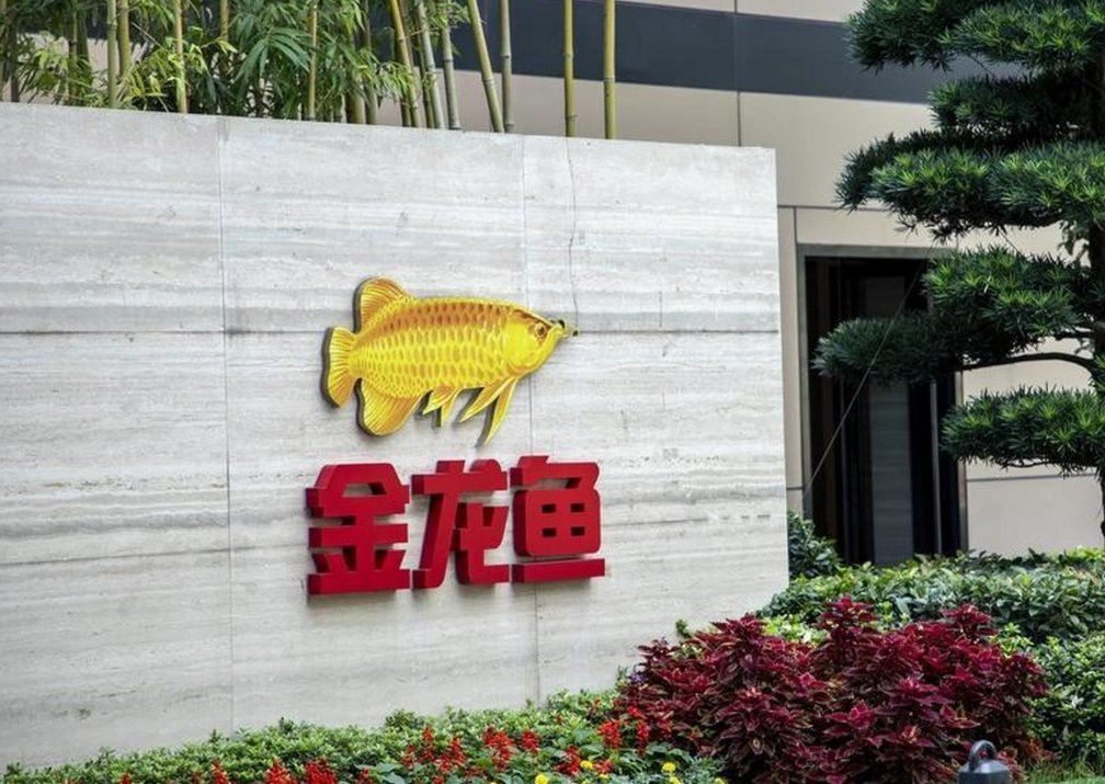 金龍魚問題 金龍魚問題 龍魚百科 第2張