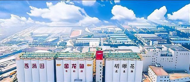 金龍魚問題 金龍魚問題 龍魚百科 第1張