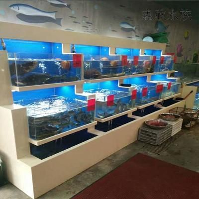 杭州魚缸批發市場（杭州魚缸批發市場價格）