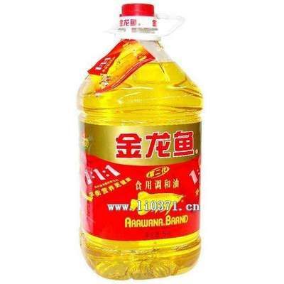 金龍魚怎么這么貴
