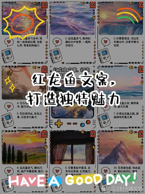 贊美紅龍魚經典語錄圖片