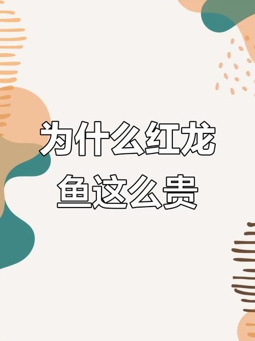 贊美紅龍魚經典語錄圖片