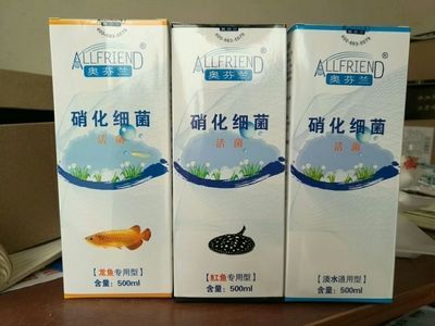 龍魚濾材哪個牌子好一點兒啊：養(yǎng)龍魚濾材搭配技巧