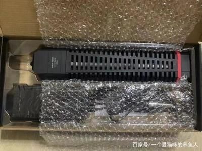 龍魚掉色怎么辦：龍魚掉色可能由多種因素引起 龍魚掉色怎么辦：龍魚掉色可能由多種因素引起 龍魚百科 第3張