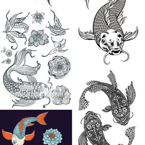 龍魚手稿紋身：關于龍魚手稿紋身