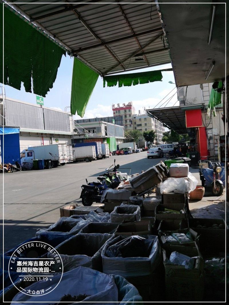 惠州龍魚批發(fā)市場地址 惠州龍魚批發(fā)市場地址 龍魚百科 第3張