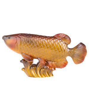 金龍魚變色的階段：金龍魚的發色過程