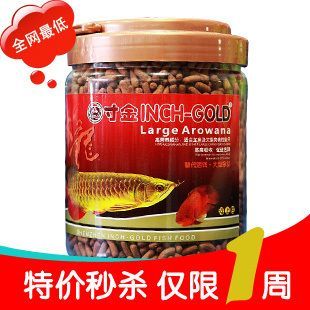 紅龍魚幼魚喂什么飼料：紅龍魚幼魚喂什么飼料對紅龍魚發色的促進作用
