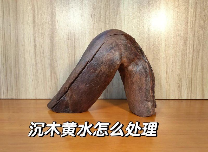 如何判斷沉木是否經過防黃水處理？