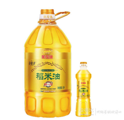 龍魚缸如何造景圖片（龍魚缸造景圖片指南）