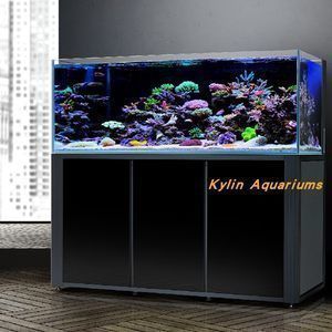 紅龍魚用什么燈發(fā)色好不掉眼睛呢（紅龍魚用什么燈發(fā)色好不掉眼睛呢圖片）