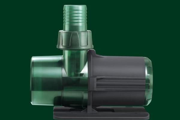 古典金龍魚用什么顏色缸養比較好（養金龍魚用什么顏色底色，什么顏色背景好）