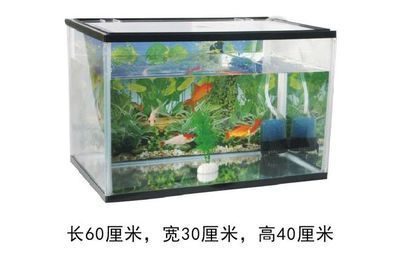 惠龍魚缸（惠龍魚缸價格及牌子推薦）