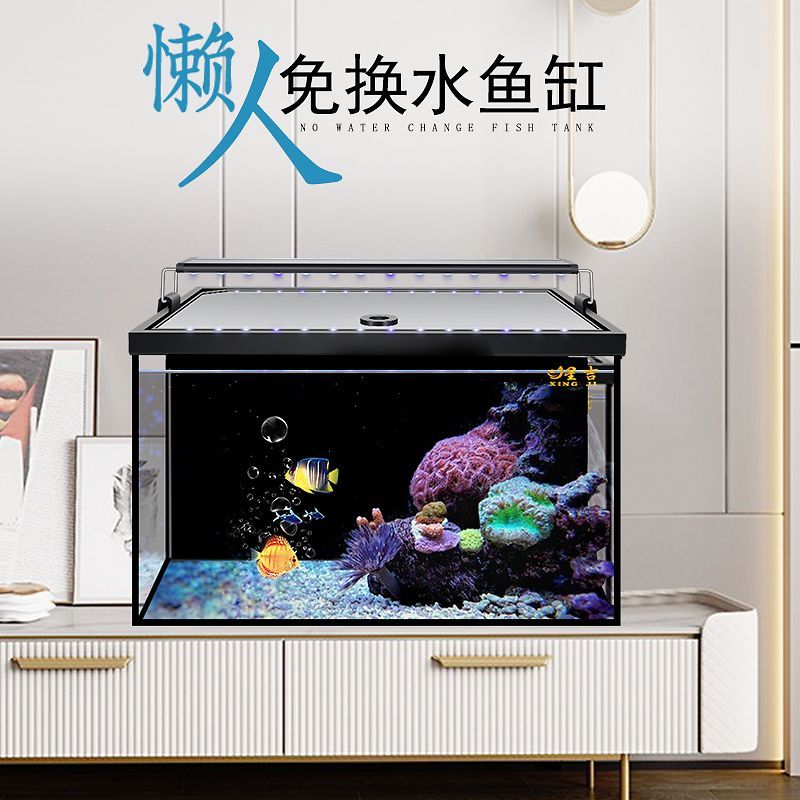 惠龍魚缸（惠龍魚缸價格及牌子推薦）