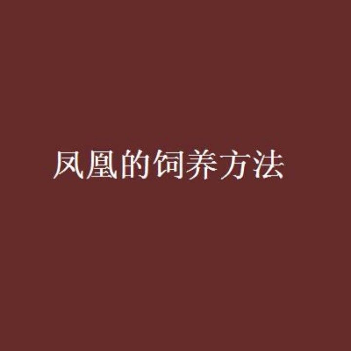 主角李凡如何飼養鳳凰？ 主角李凡如何飼養鳳凰？ 龍魚百科 第2張