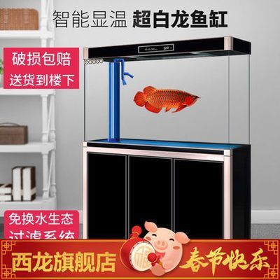 龍魚魚缸怎么換水：龍魚魚缸換水的步驟和注意事項