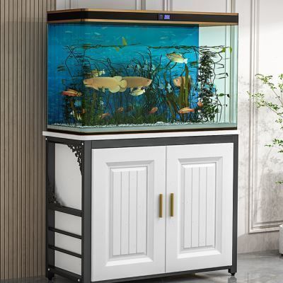 廣州賣龍魚地址查詢最新（廣州賣龍魚地址查詢） 廣州賣龍魚地址查詢最新（廣州賣龍魚地址查詢） 龍魚百科