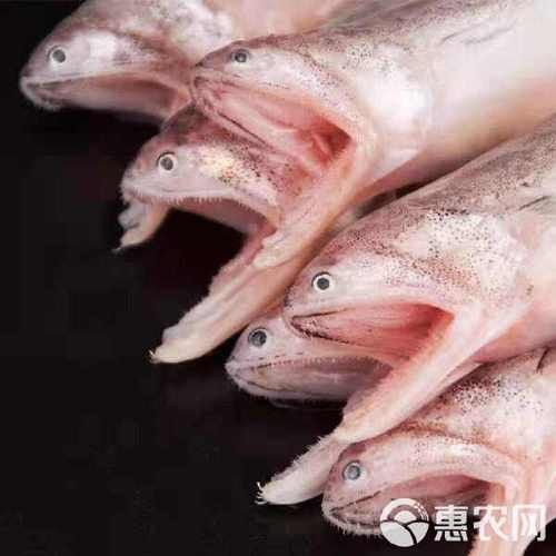 水龍魚是海里的嗎圖片 龍魚百科 第16張 水龍魚是海里的嗎圖片 水龍魚是海里的嗎圖片 龍魚百科 第16張