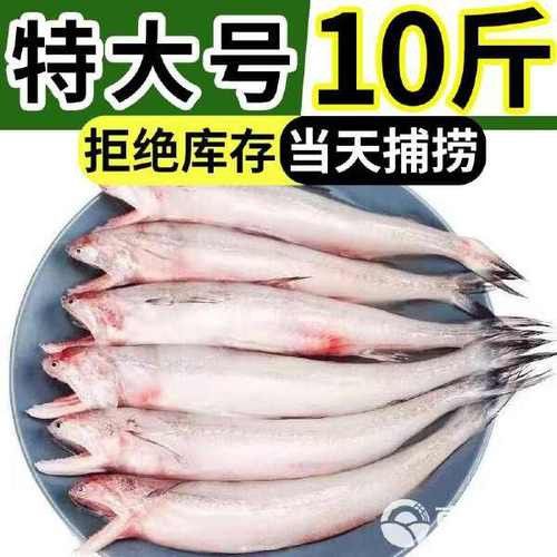 水龍魚是海里的嗎圖片 龍魚百科 第19張 水龍魚是海里的嗎圖片 水龍魚是海里的嗎圖片 龍魚百科 第19張