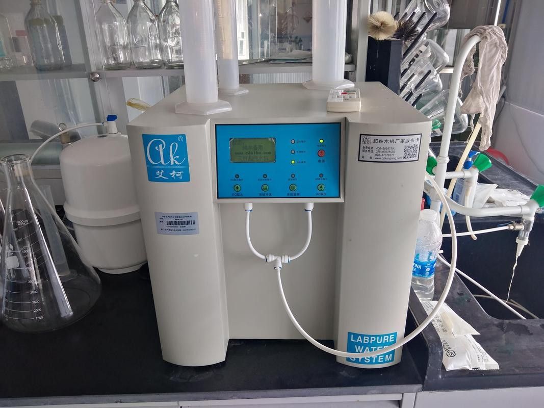 銀龍魚飼養(yǎng)方法及注意事項大全圖片