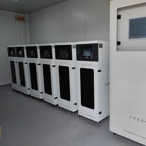 銀龍魚飼養(yǎng)方法及注意事項大全圖片