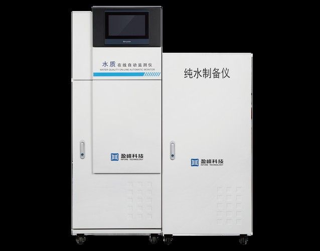 銀龍魚飼養(yǎng)方法及注意事項大全圖片