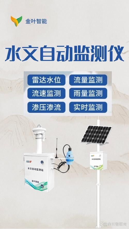 銀龍魚飼養(yǎng)方法及注意事項大全圖片