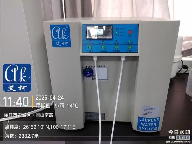 銀龍魚飼養(yǎng)方法及注意事項大全圖片