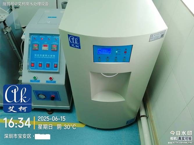 銀龍魚飼養(yǎng)方法及注意事項大全圖片