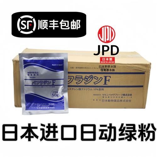 銀龍魚飼養(yǎng)方法及注意事項大全圖片