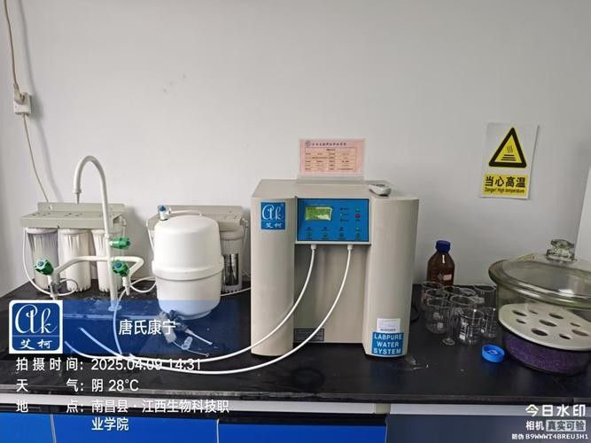 銀龍魚飼養(yǎng)方法及注意事項大全圖片
