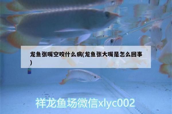 龍魚張嘴空咬什么病：龍魚張嘴空咬可能由多種因素引起