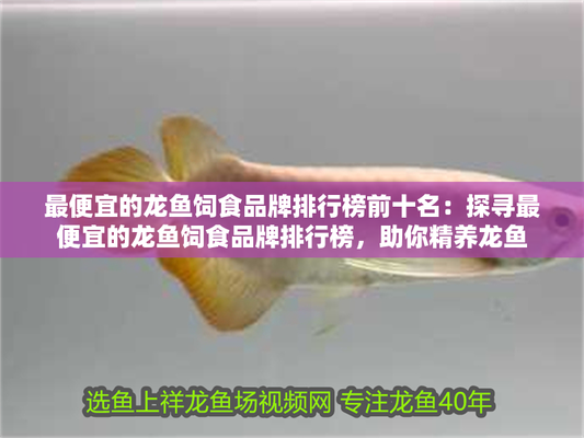 十大品牌龍魚排名榜
