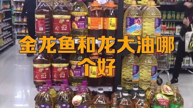 金龍魚好還是龍大好