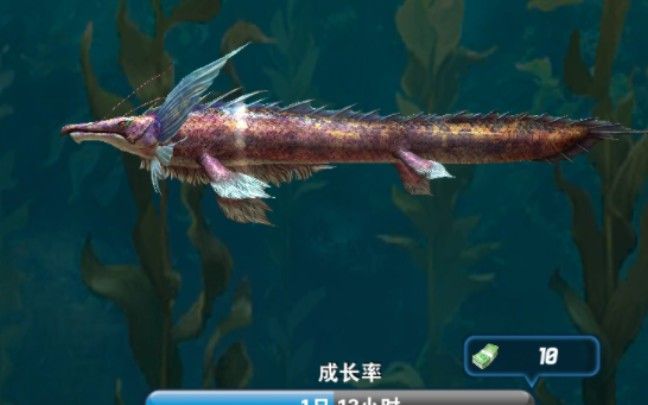 龍魚哪里釣原神最好：稻妻龍魚出沒時間表原神釣魚成就解鎖方法